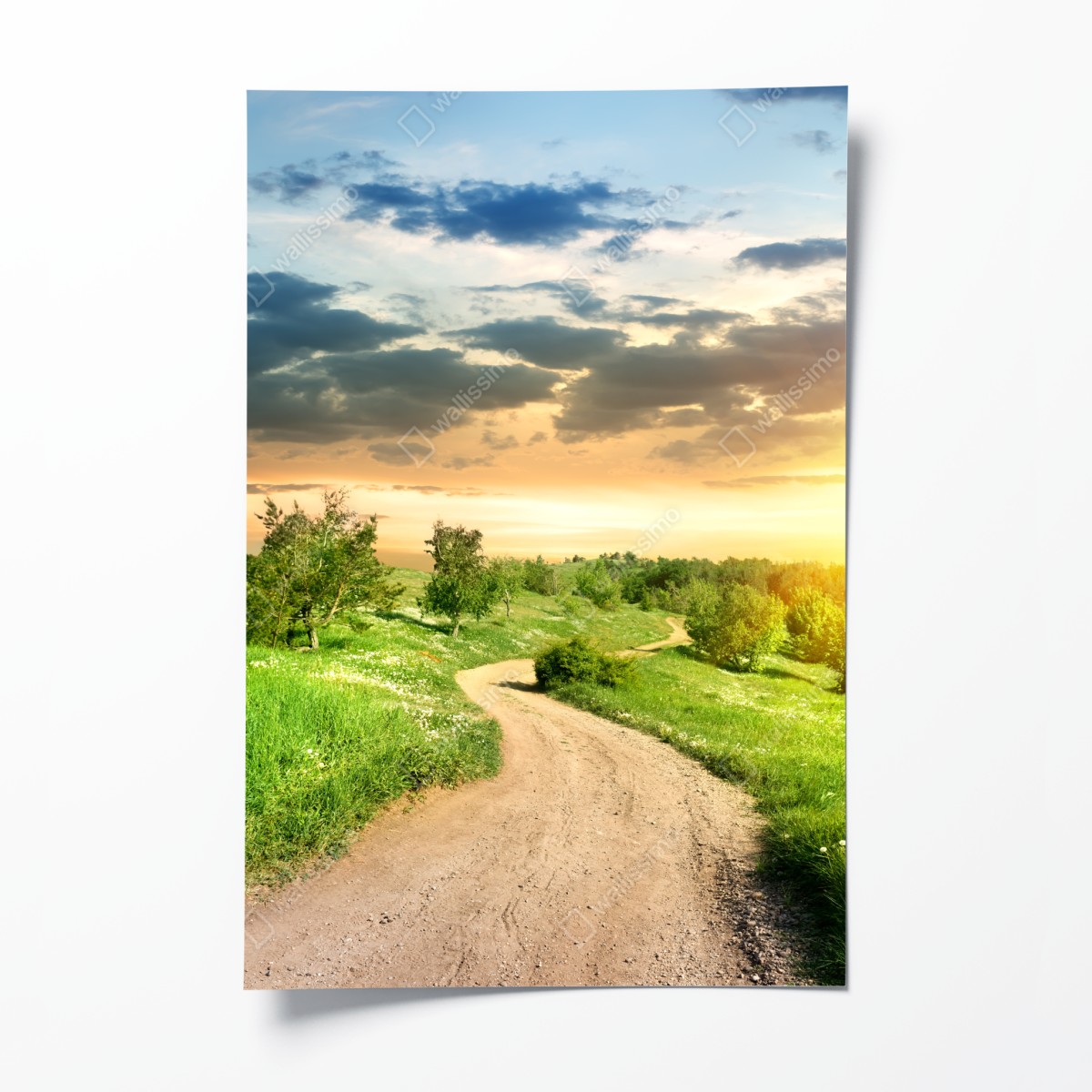 Poster sunset country road through green meadow