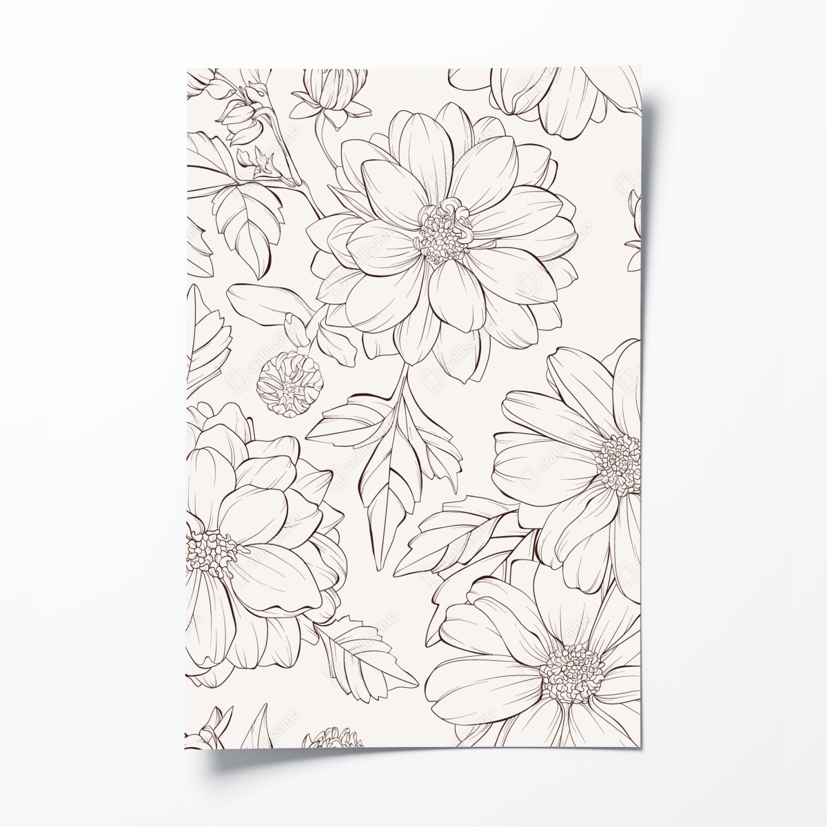 Poster delicate botanical line florals