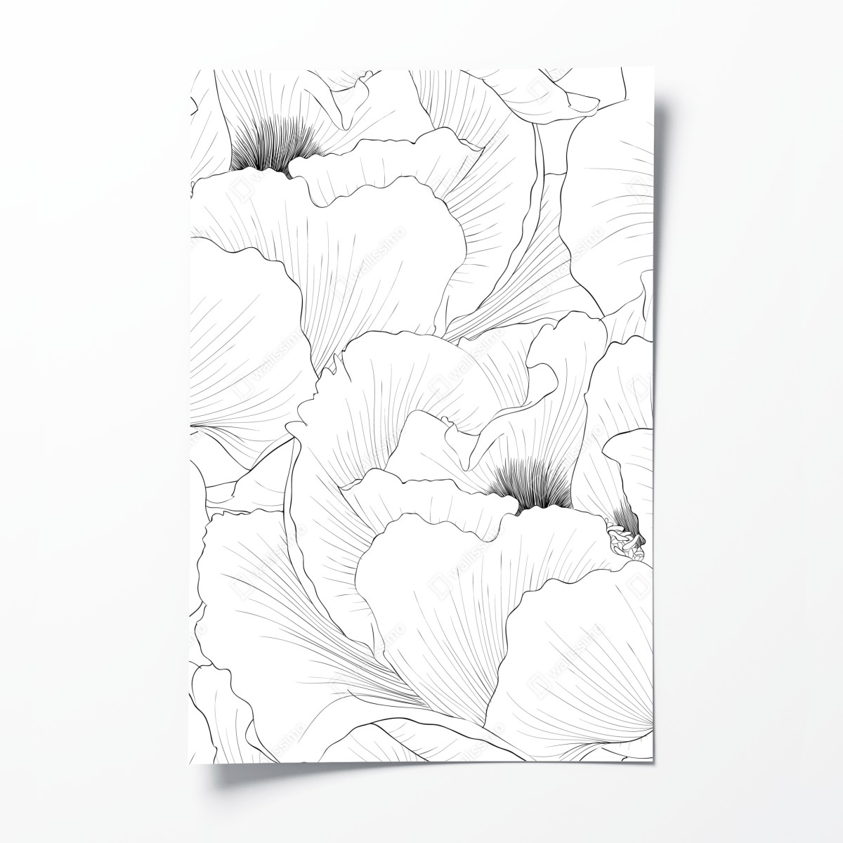 Poster delicate botanical line art floral pattern