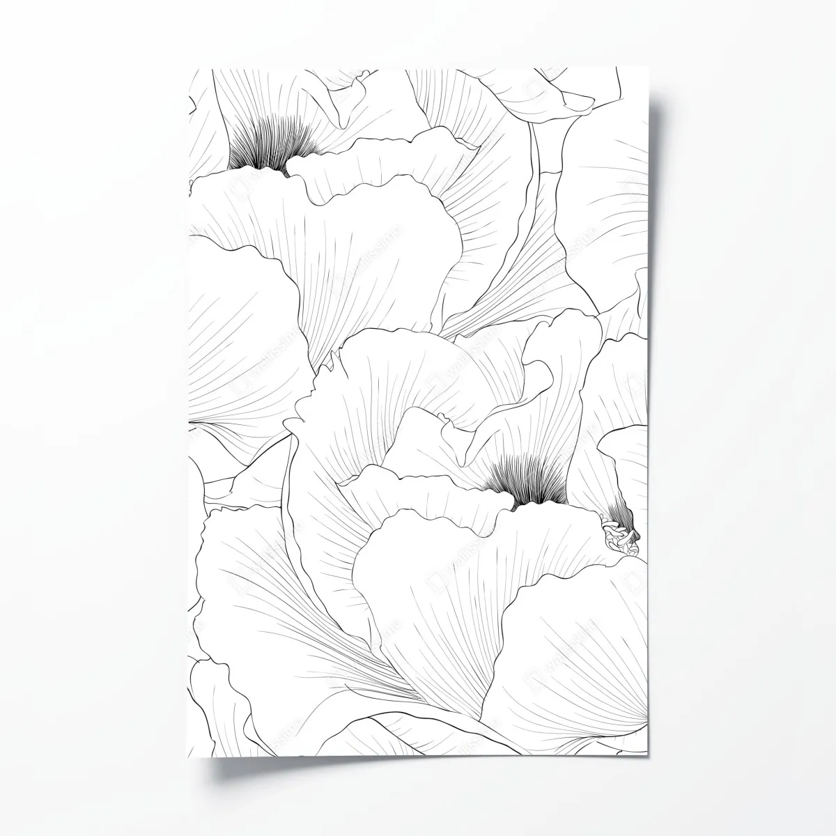 Plakat delikatny botaniczny rysunek kwiatowy – Wallissimo® Plakat delikatny botaniczny rysunek kwiatowy – Wallissimo®