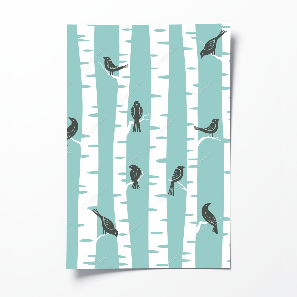 Poster turquoise birch forest with birds