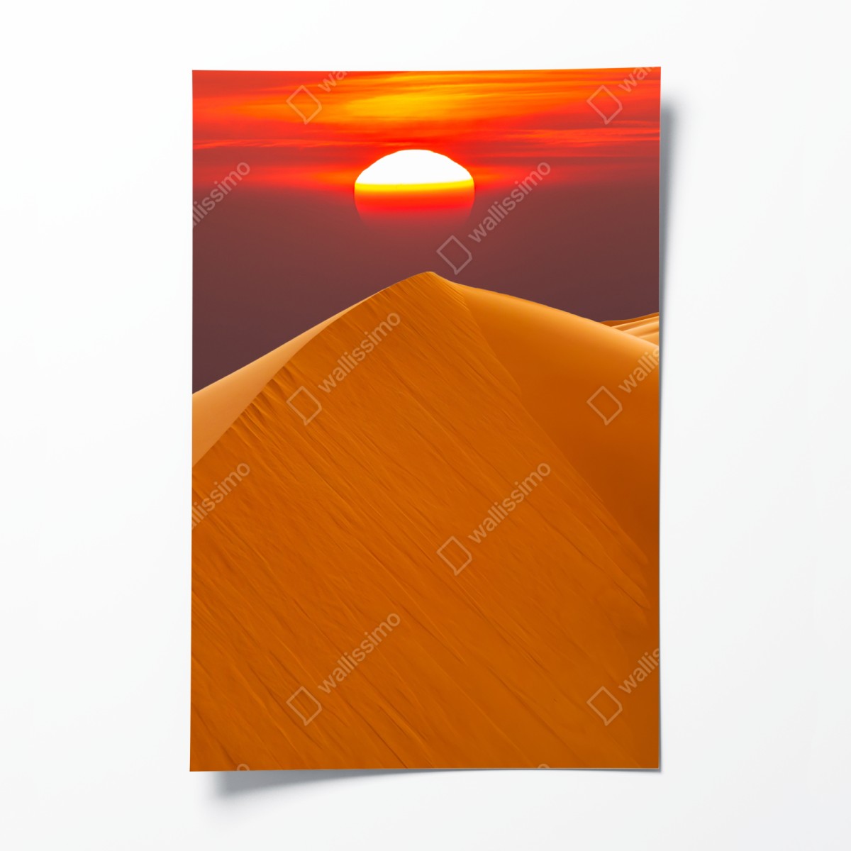 Poster golden desert sunset over sand dunes