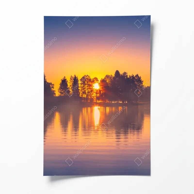 Plakat wzór z kaktusami i sukulentami – Wallissimo®