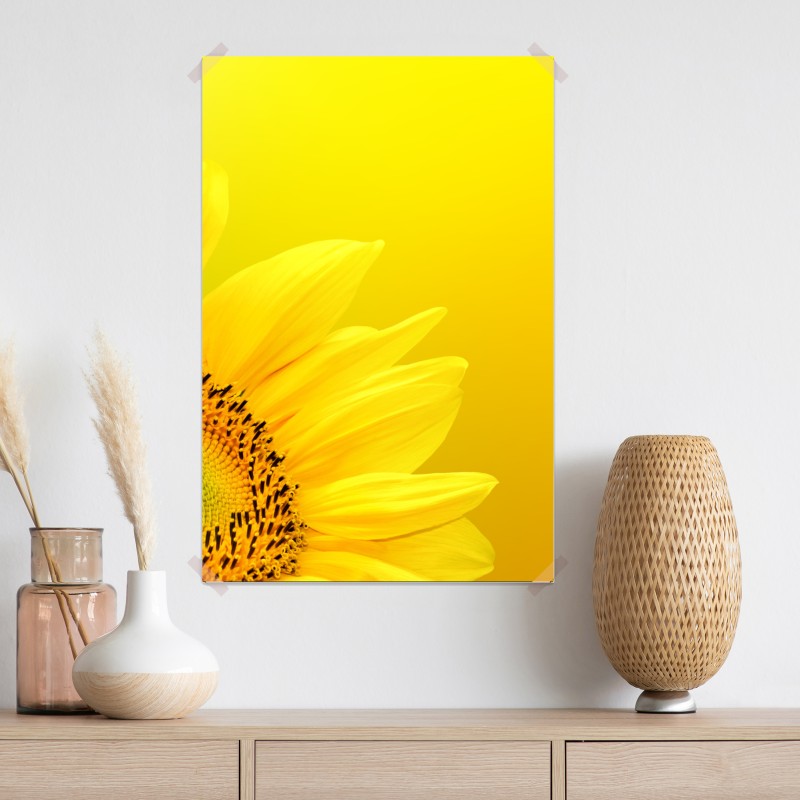 Plakat żywy słonecznik z bliska na żółtym tle – Wallissimo® Plakat żywy słonecznik z bliska na żółtym tle – Wallissimo®