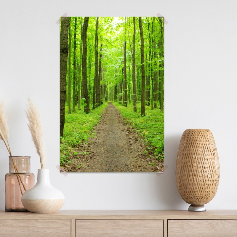 Plakat spokojna zielona ścieżka w lesie – Wallissimo® Plakat spokojna zielona ścieżka w lesie – Wallissimo®
