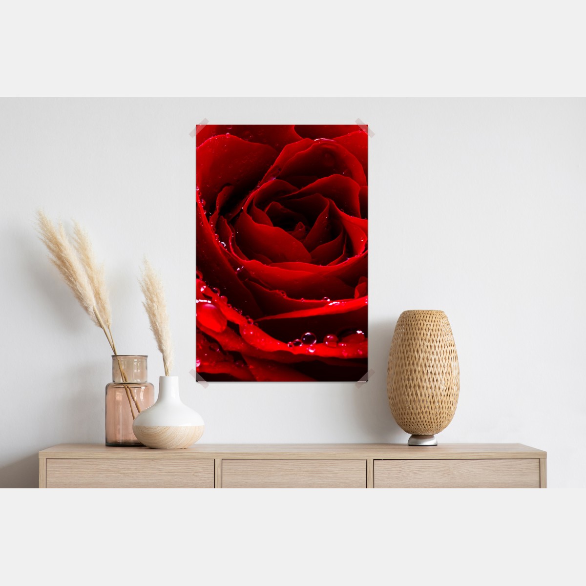 Plakat żywa czerwona róża - zbliżenie – Wallissimo® Plakat żywa czerwona róża - zbliżenie – Wallissimo®