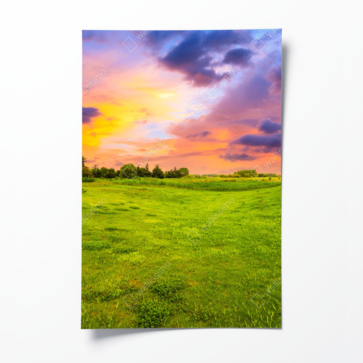 Poster sunset over green meadow