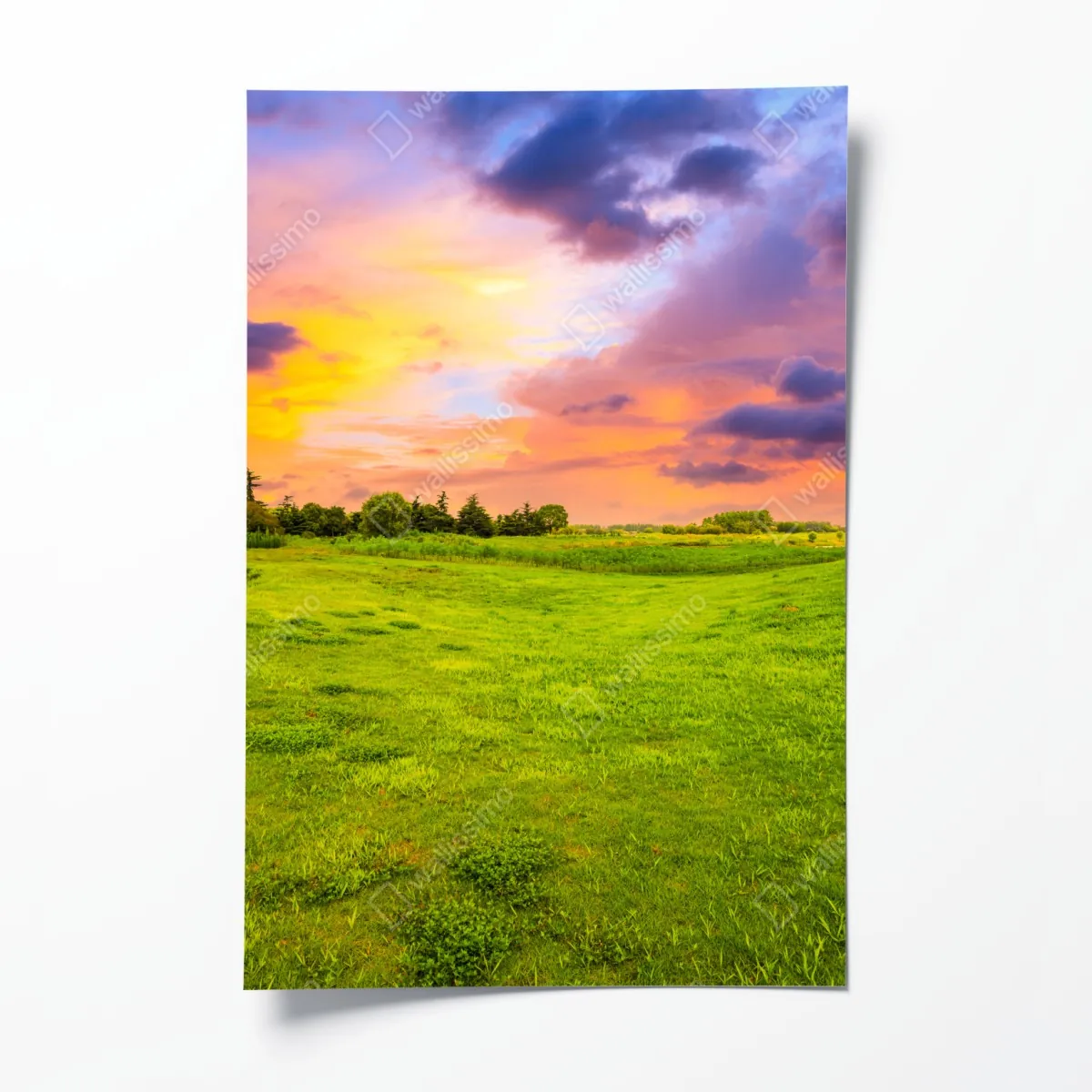 Plakat zachód słońca nad zieloną łąką – Wallissimo® Plakat zachód słońca nad zieloną łąką – Wallissimo®