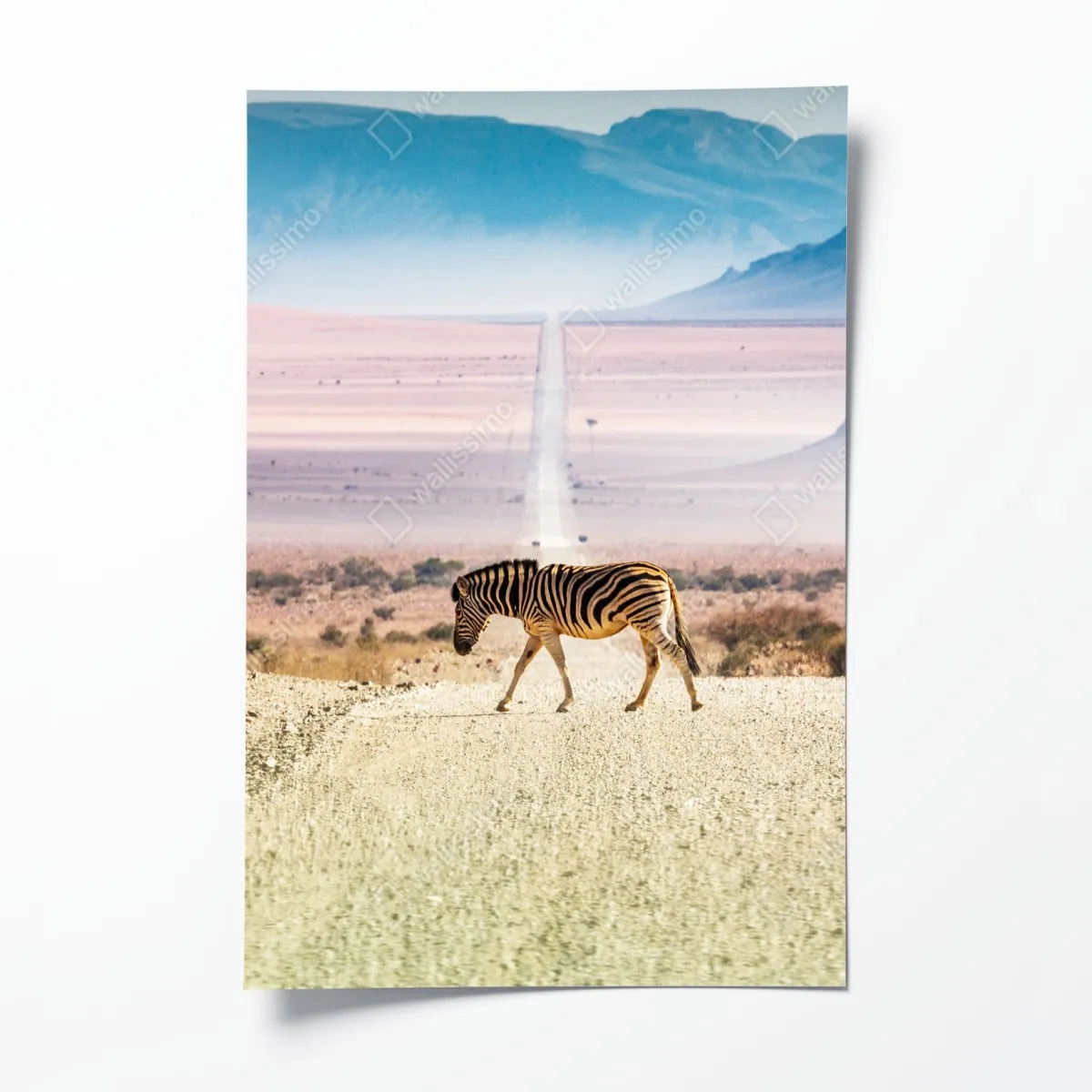 Plakat zebra na pustynnej drodze – Wallissimo® Plakat zebra na pustynnej drodze – Wallissimo®