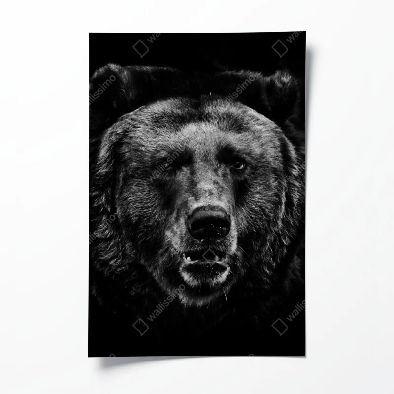Plakat mroczny portret niedźwiedzia grizzly