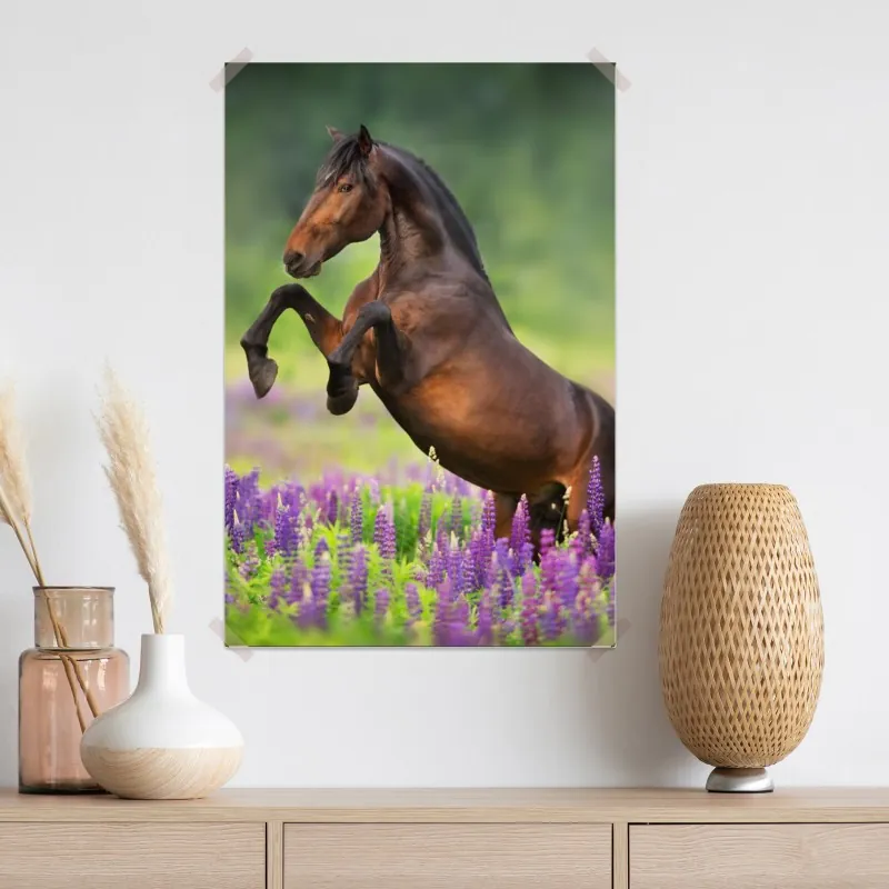 Plakat ogier staje dęba w łubinowej łące – Wallissimo® Plakat ogier staje dęba w łubinowej łące – Wallissimo®