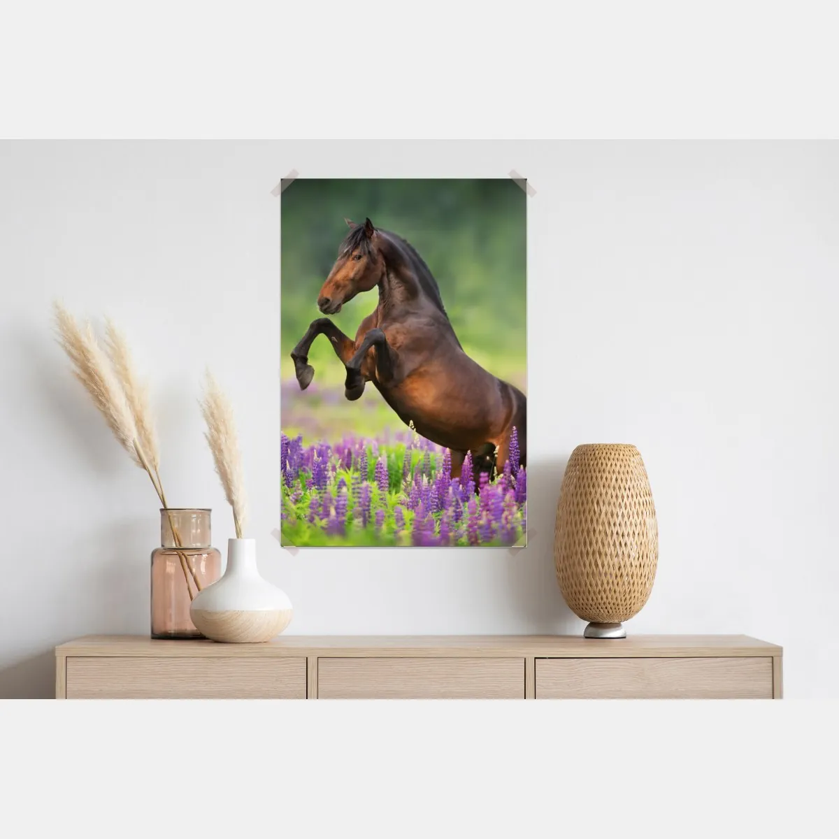 Plakat ogier staje dęba w łubinowej łące – Wallissimo® Plakat ogier staje dęba w łubinowej łące – Wallissimo®