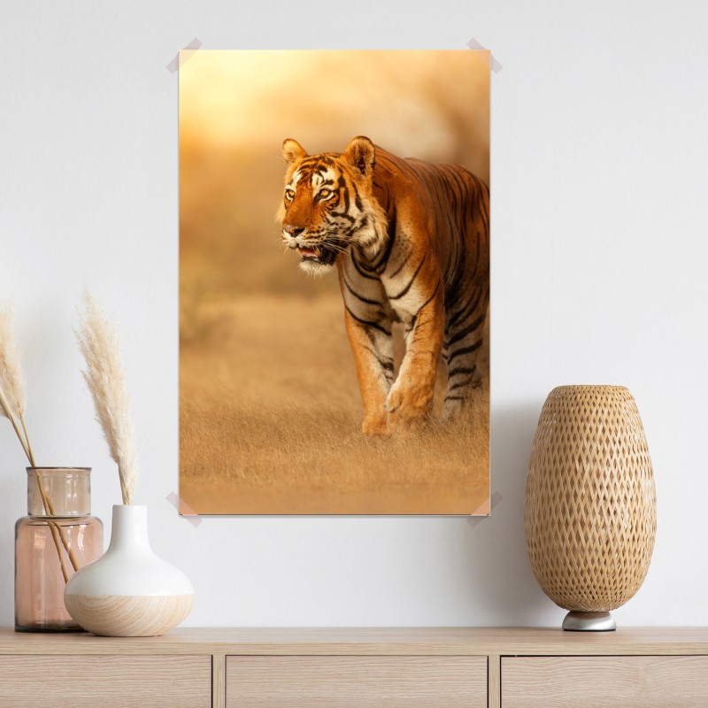 Plakat majestatyczny tygrys w złotym świetle – Wallissimo® Plakat majestatyczny tygrys w złotym świetle – Wallissimo®