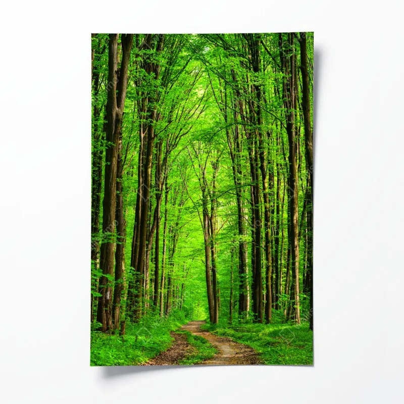 Plakat bujna zielona leśna ścieżka