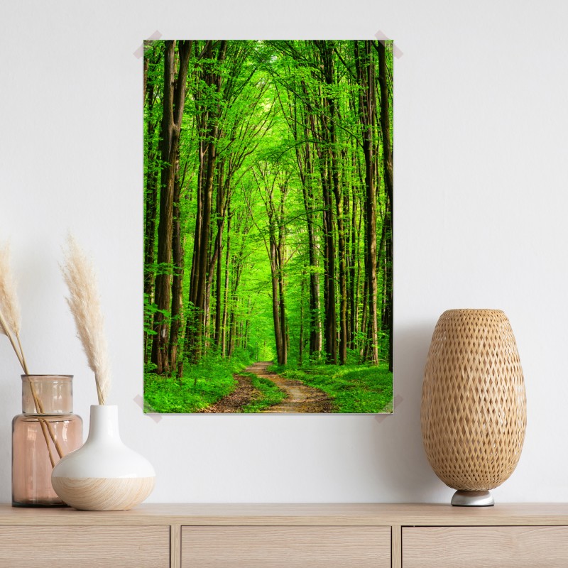 Plakat bujna zielona leśna ścieżka – Wallissimo® Plakat bujna zielona leśna ścieżka – Wallissimo®