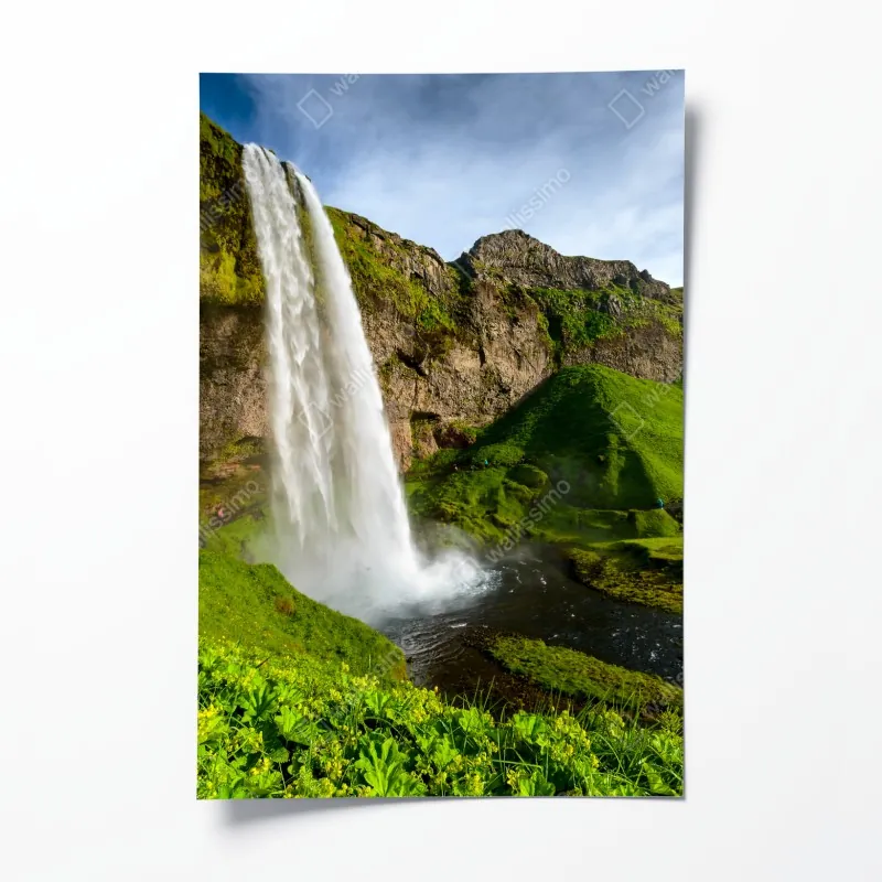 Plakat niebieski kwiatowy wzór toile – Wallissimo®