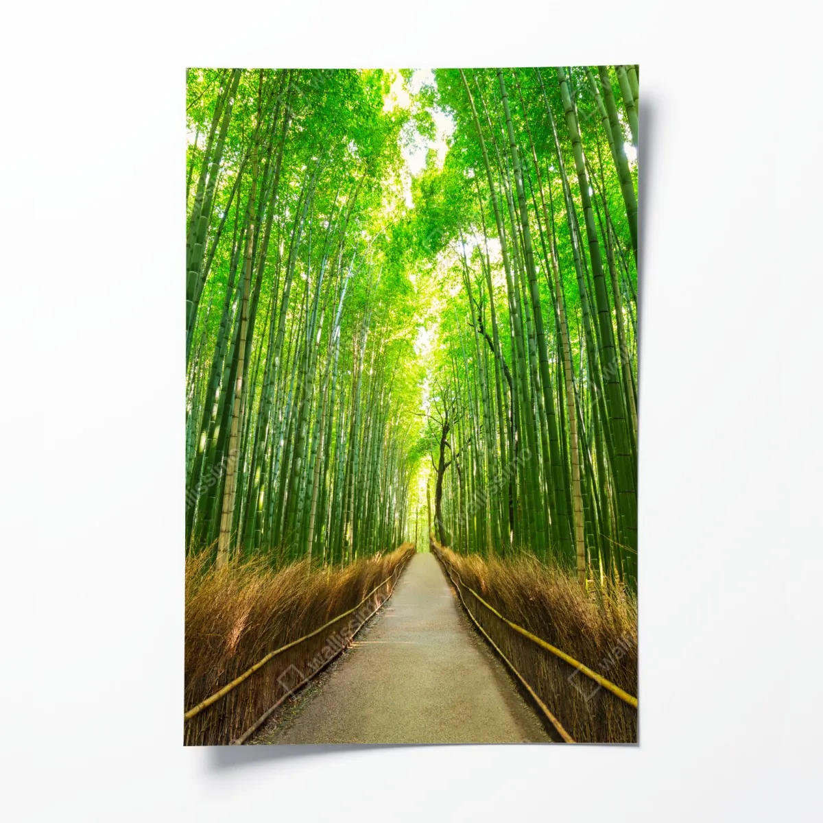 Plakat spokojna ścieżka bambusowa w Kioto – Wallissimo® Plakat spokojna ścieżka bambusowa w Kioto – Wallissimo®