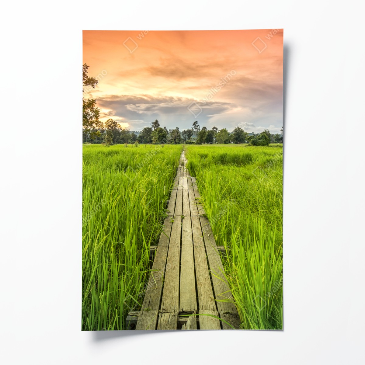 Poster sunset over a wooden bridge in Khonburi