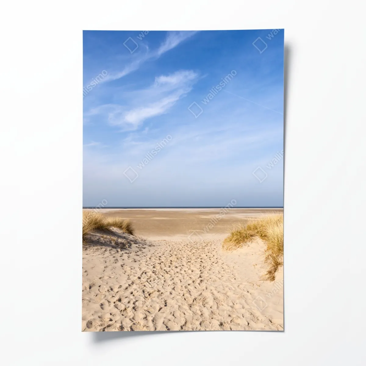 Plakat spokojne wydmy na wybrzeżu Niemiec – Wallissimo® Plakat spokojne wydmy na wybrzeżu Niemiec – Wallissimo®