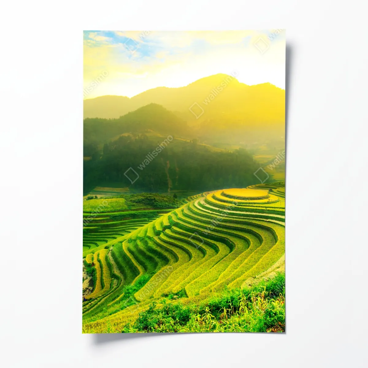 Plakat złote tarasy ryżowe o wschodzie słońca – Wallissimo® Plakat złote tarasy ryżowe o wschodzie słońca – Wallissimo®