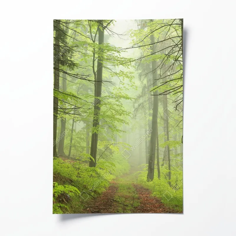 Plakat wzór akwarelowy z borówkami i jeżynami – Wallissimo®