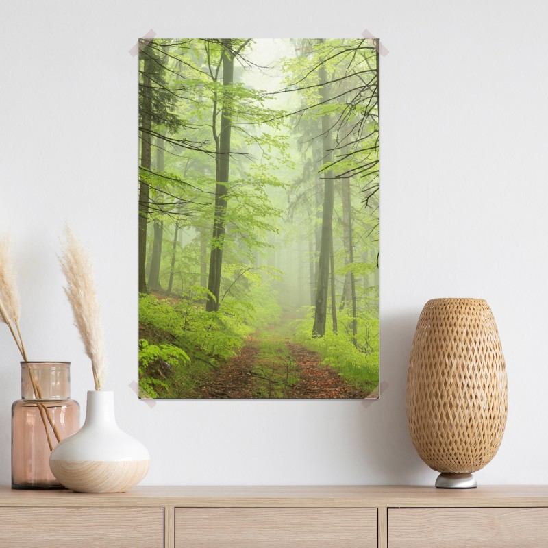 Plakat mglisty zielony leśny szlak – Wallissimo® Plakat mglisty zielony leśny szlak – Wallissimo®