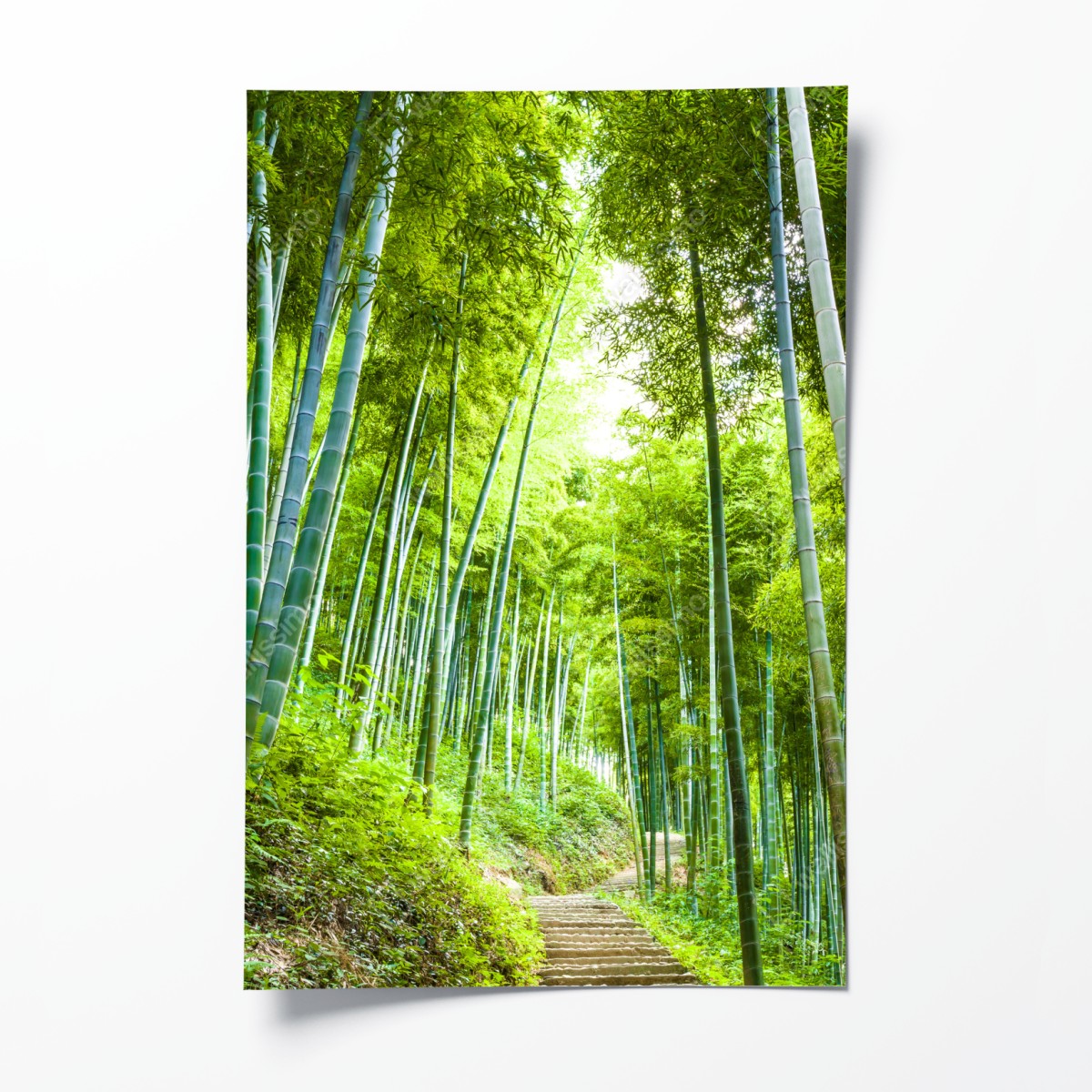 Poster serene bamboo forest pathway