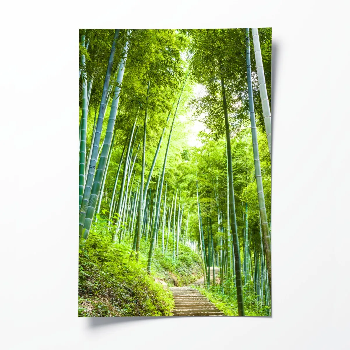 Plakat spokojna ścieżka w bambusowym lesie – Wallissimo® Plakat spokojna ścieżka w bambusowym lesie – Wallissimo®