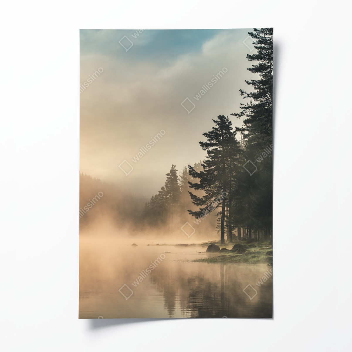 Poster misty sunrise over forest lake