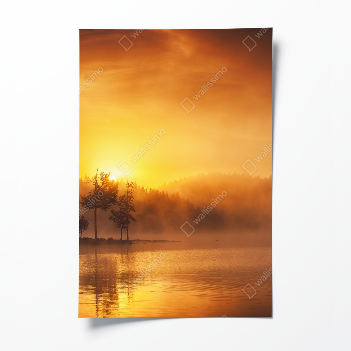 Poster golden sunrise over a misty lake