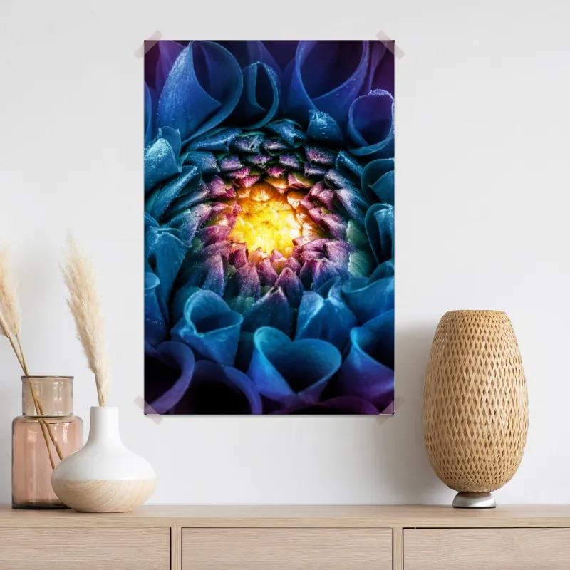 Plakat intensywna niebieska chryzantema z bliska – Wallissimo® Plakat intensywna niebieska chryzantema z bliska – Wallissimo®