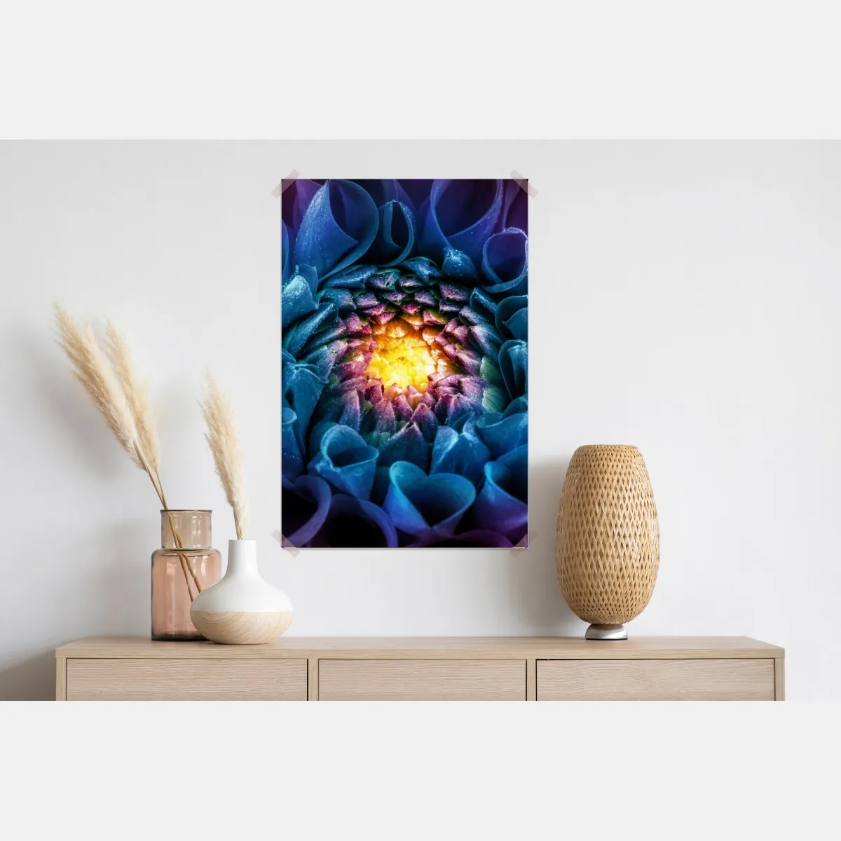 Plakat intensywna niebieska chryzantema z bliska – Wallissimo® Plakat intensywna niebieska chryzantema z bliska – Wallissimo®