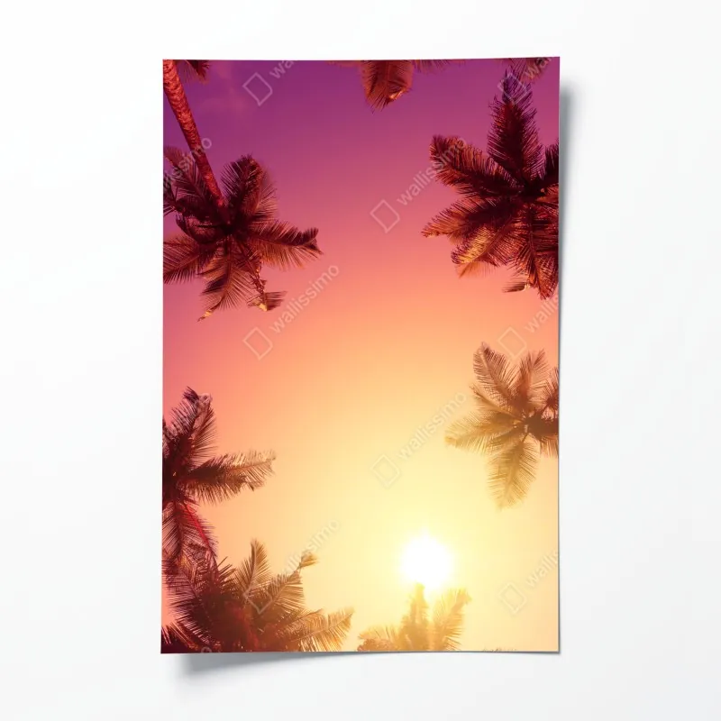 Plakat tropikalny zachód słońca z sylwetkami palm