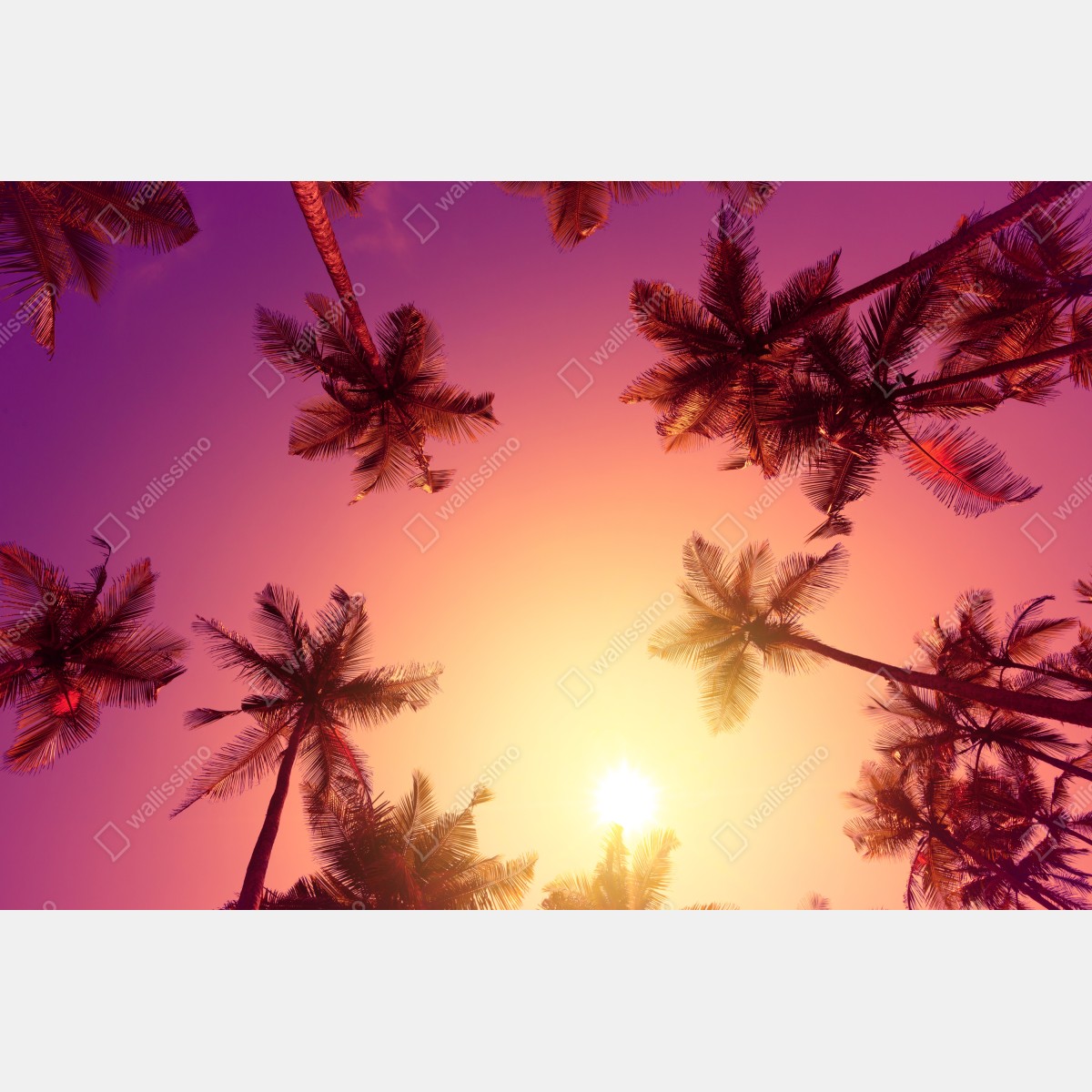 Plakat tropikalny zachód słońca z sylwetkami palm – Wallissimo® Plakat tropikalny zachód słońca z sylwetkami palm – Wallissimo®
