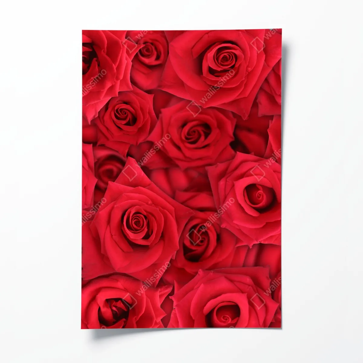 Plakat żywe czerwone róże kolaż – Wallissimo® Plakat żywe czerwone róże kolaż – Wallissimo®