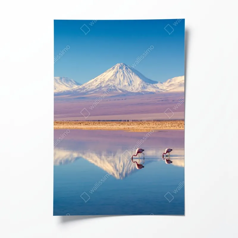 Plakat Laguna Chaxa z flamingami i Licancabur