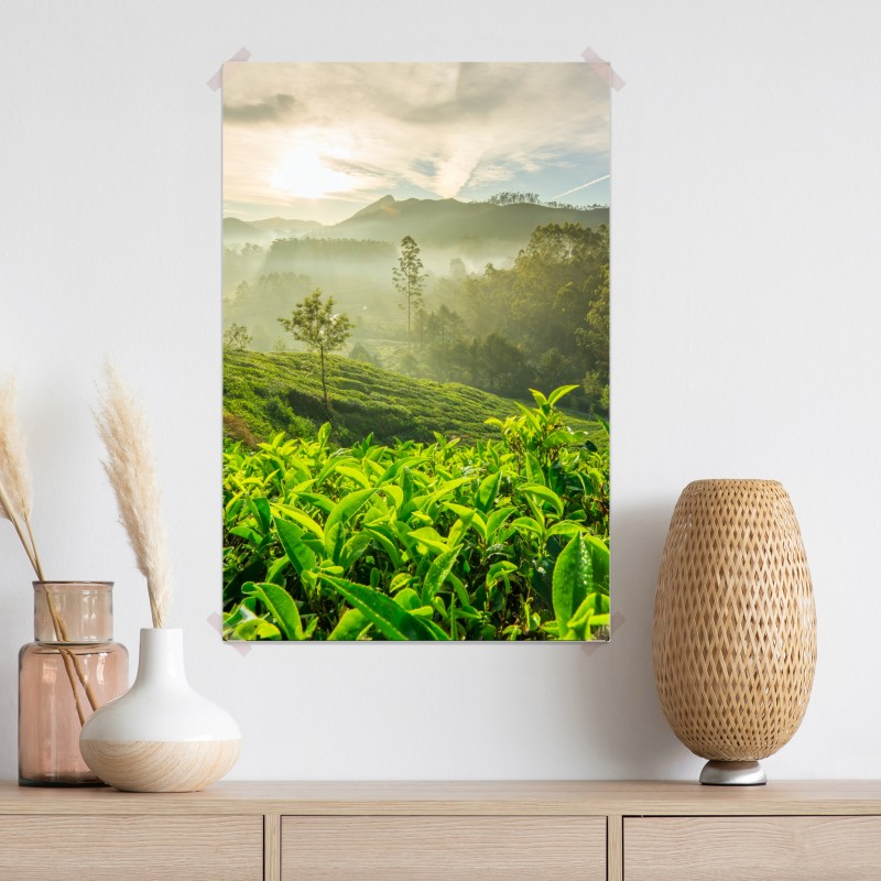 Plakat wschód słońca nad plantacjami herbaty w Munnar – Wallissimo® Plakat wschód słońca nad plantacjami herbaty w Munnar – Wallissimo®