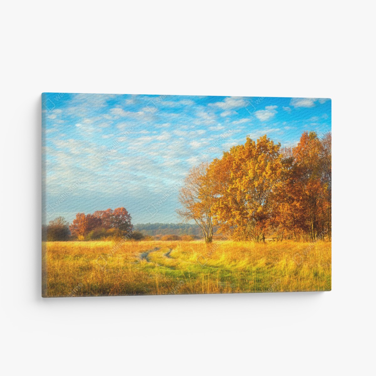 Canvas print golden autumn meadow