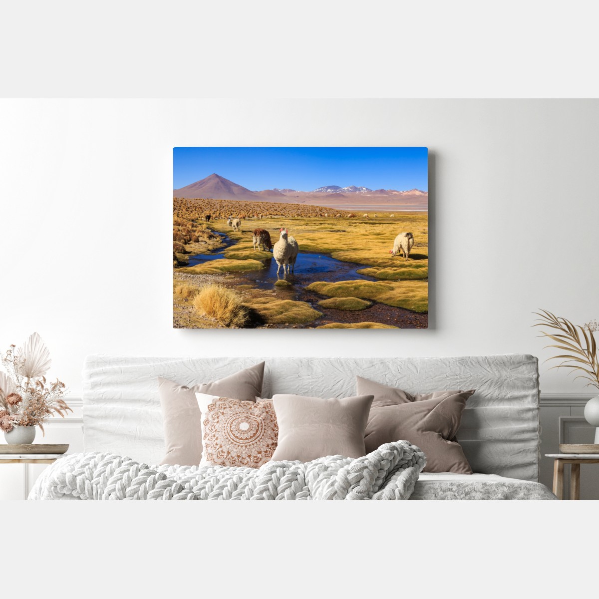Obraz na płótnie lamy na Altiplano – Wallissimo® Obraz na płótnie lamy na Altiplano – Wallissimo®