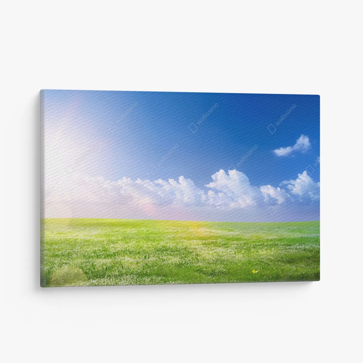 Obraz na płótnie słoneczna wiosenna łąka pod niebieskim niebem – Wallissimo® Obraz na płótnie słoneczna wiosenna łąka pod niebieskim niebem – Wallissimo®