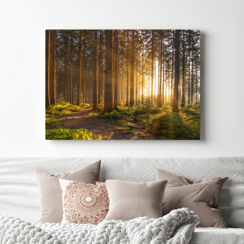 Obraz na płótnie słoneczny las o poranku – Wallissimo® Obraz na płótnie słoneczny las o poranku – Wallissimo®
