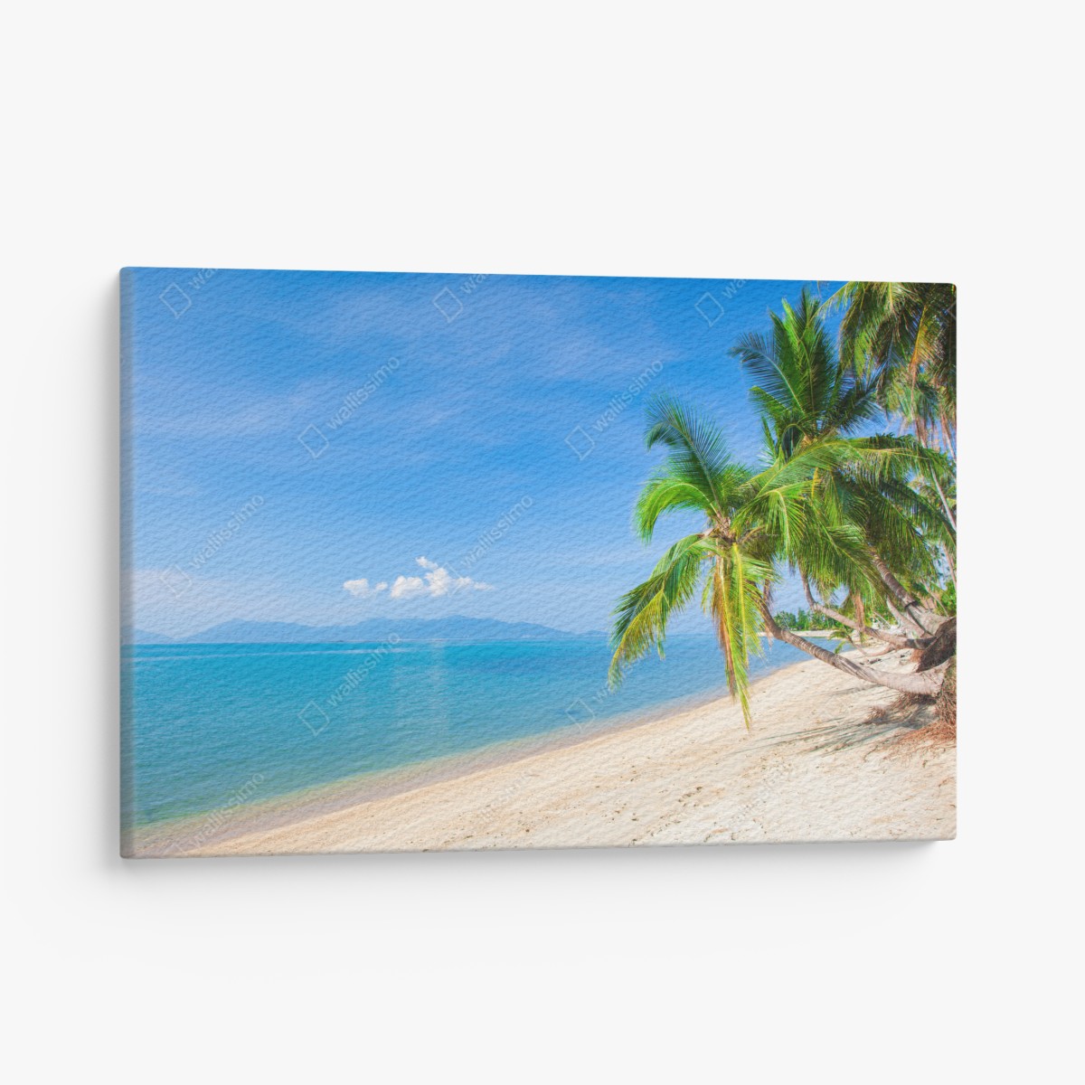 Canvas print tropical palm beach paradise