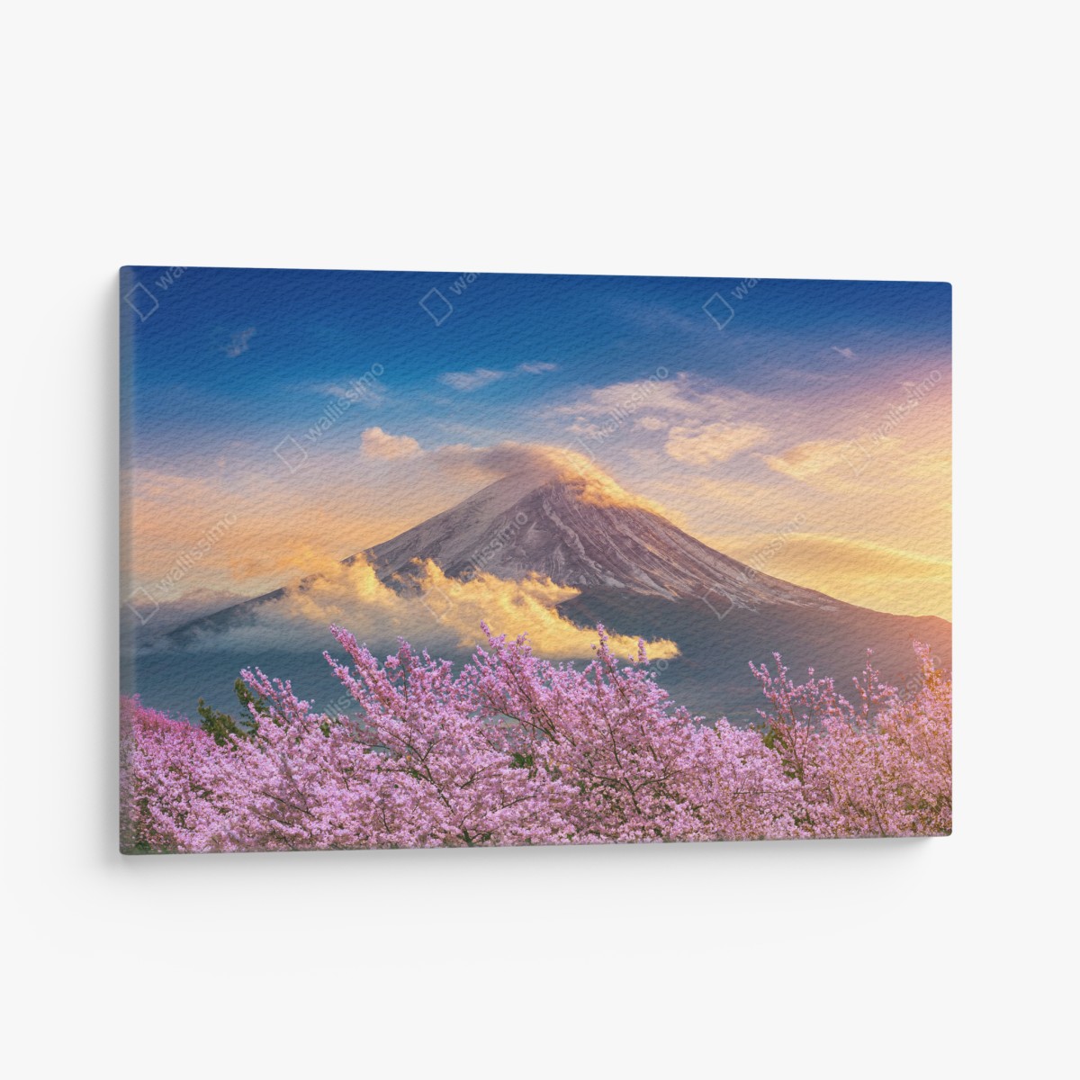 Canvas print Mount Fuji with cherry blossoms at sunrise