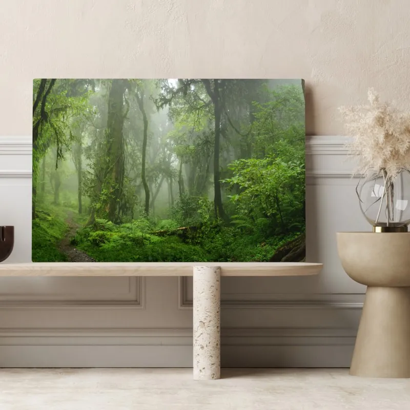 Obraz na płótnie mglisty tropikalny szlak w dżungli – Wallissimo® Obraz na płótnie mglisty tropikalny szlak w dżungli – Wallissimo®