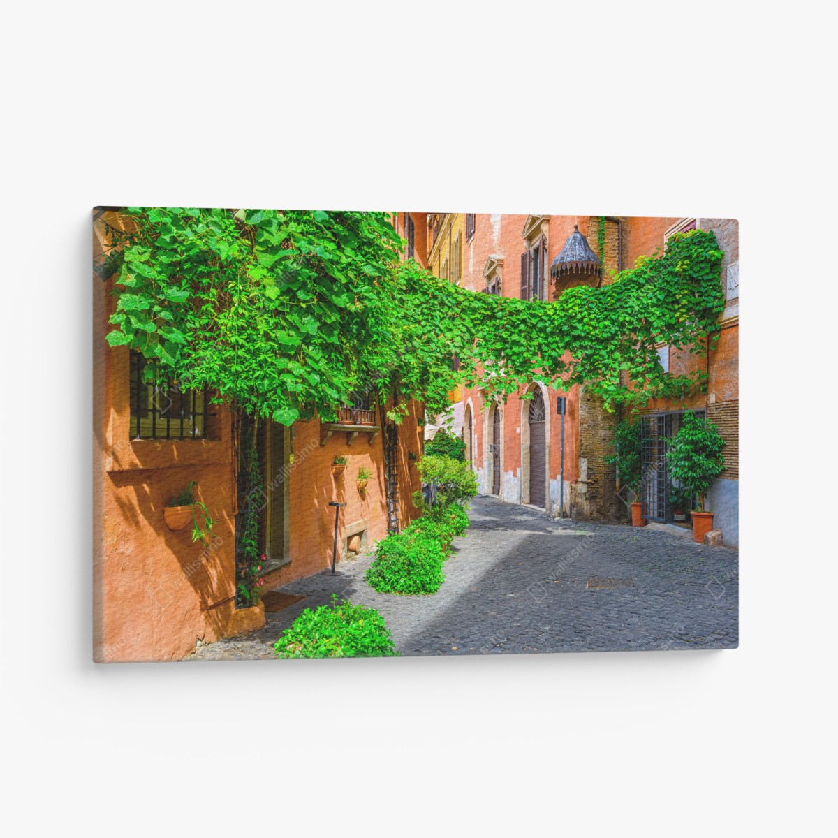 Canvas print charming alley in Trastevere, Rome