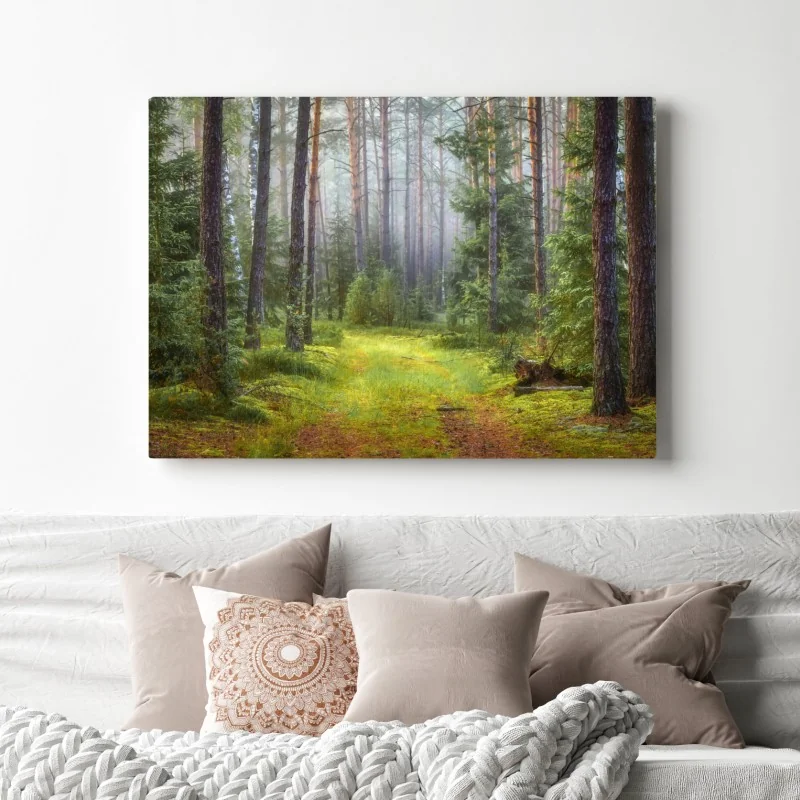 Obraz na płótnie mglisty sosnowy las z ścieżką – Wallissimo® Obraz na płótnie mglisty sosnowy las z ścieżką – Wallissimo®
