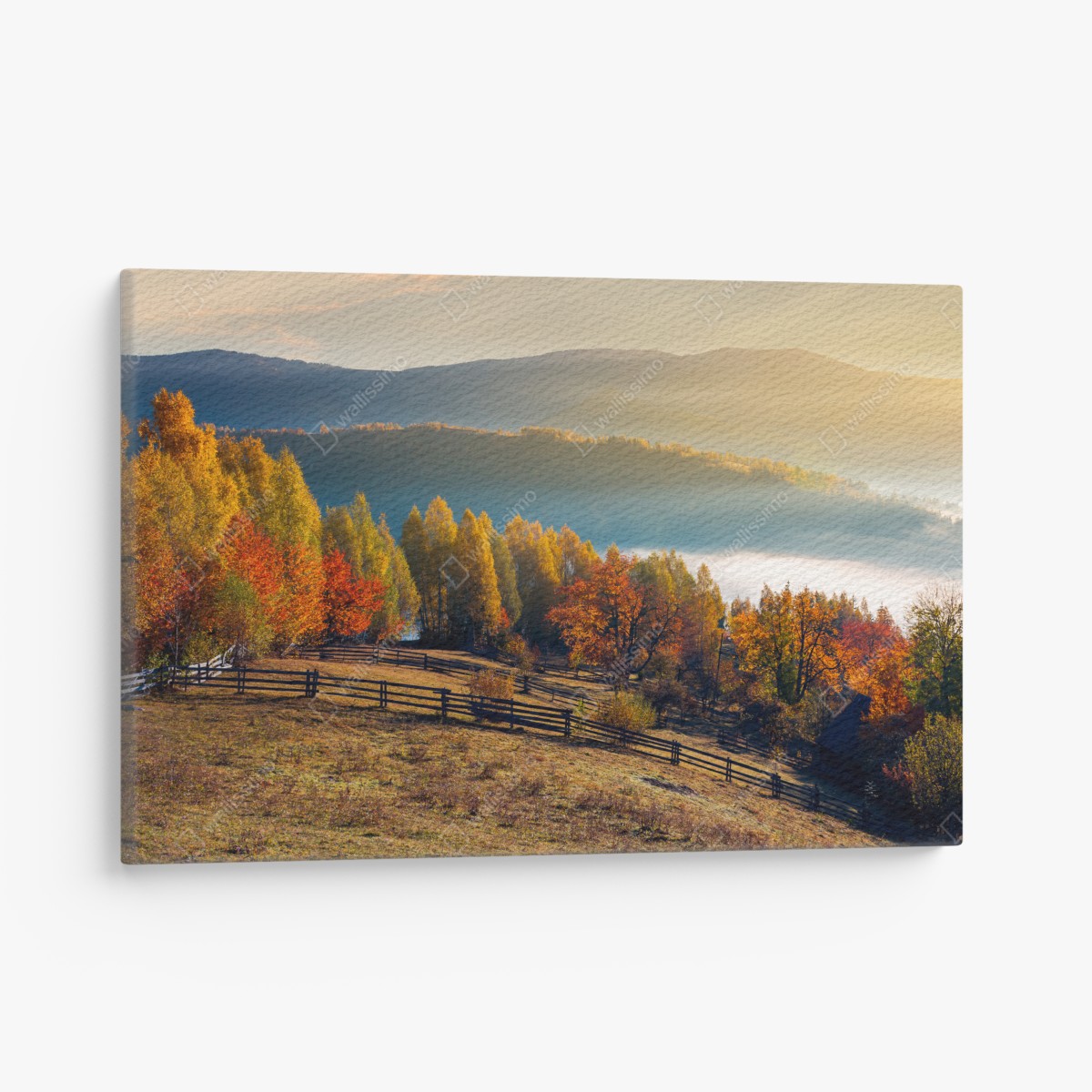 Canvas print misty autumn sunrise in the countryside
