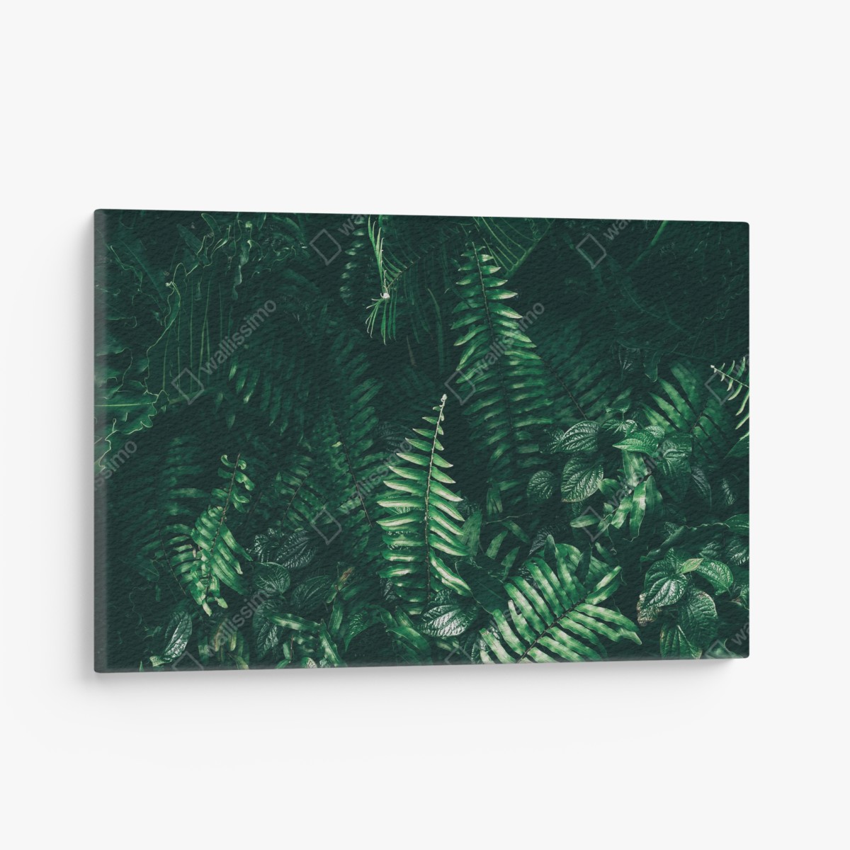 Canvas print tropical green leaves composition