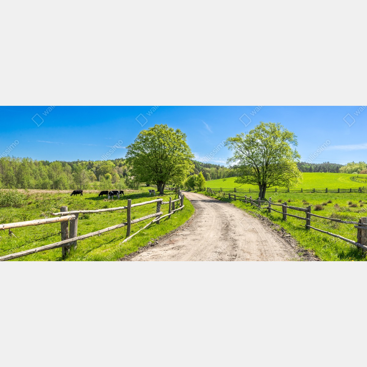 Obraz na płótnie słoneczna wiejska droga przez zielone łąki – Wallissimo® Obraz na płótnie słoneczna wiejska droga przez zielone łąki – Wallissimo®