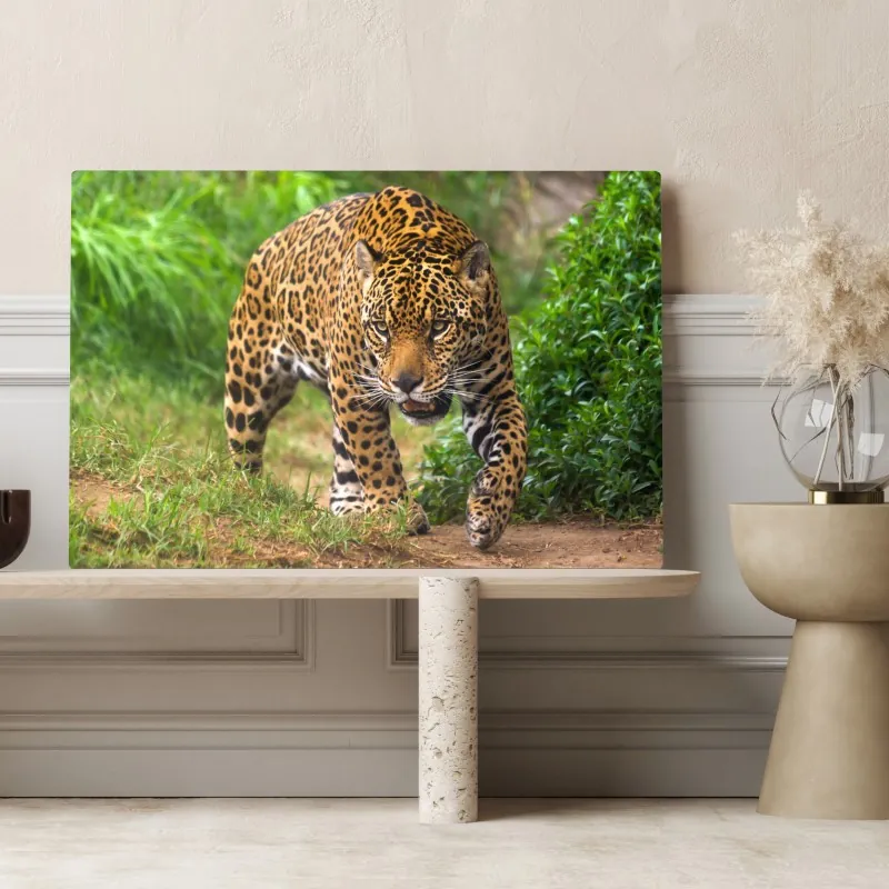 Obraz na płótnie majestatyczny jaguar w naturze – Wallissimo® Obraz na płótnie majestatyczny jaguar w naturze – Wallissimo®